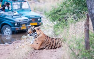 Ranthambhore National Park