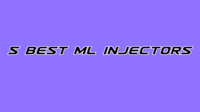 5 Best ML Injector