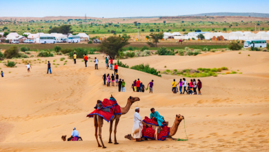 Camel Safari in Jaisalmer