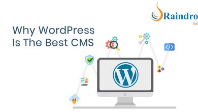 Why WordPress Is Better Over Other Available Cms Solutions?
