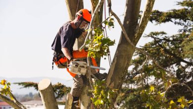 tree trimming Company